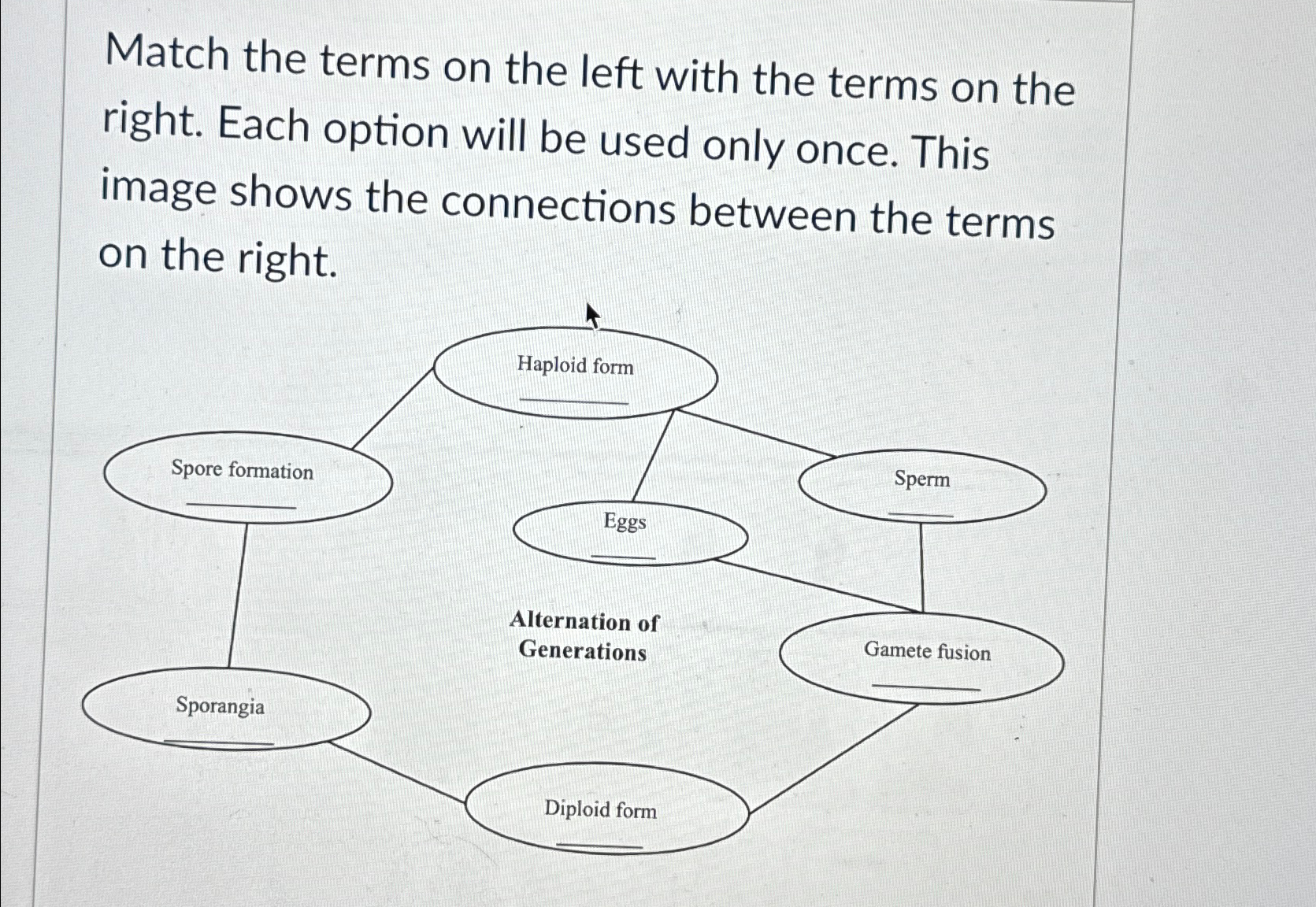 Solved Match the terms on the left with the terms on the | Chegg.com