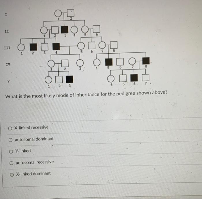 Solved What is the most likely mode of inheritance for the | Chegg.com