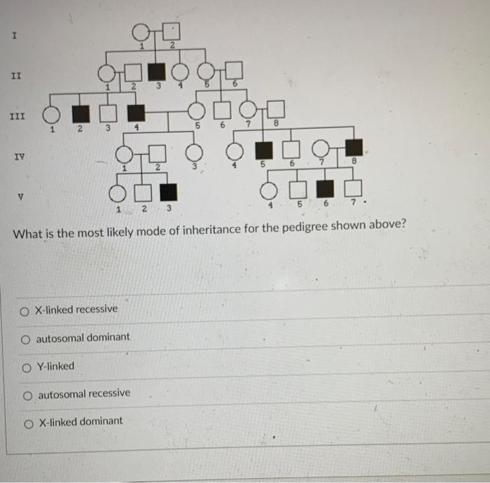 Solved What Is The Most Likely Mode Of Inheritance For The | Chegg.com