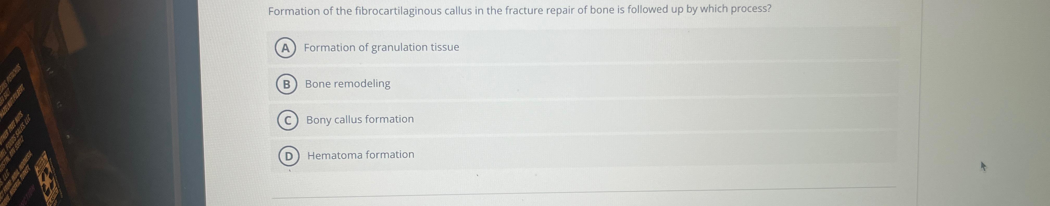 Solved Formation of the fibrocartilaginous callus in the | Chegg.com