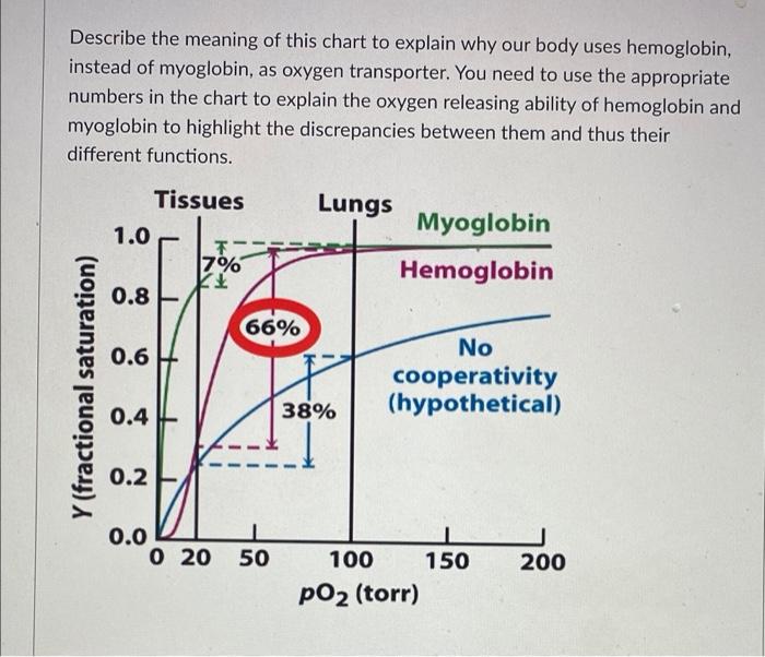 Solved Describe the meaning of this chart to explain why our 