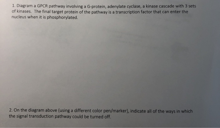 Solved 1. Diagram a GPCR pathway involving a G-protein, | Chegg.com