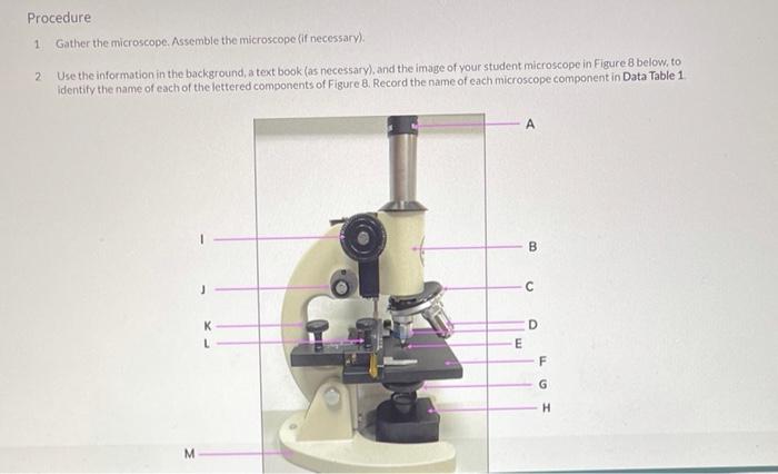 Solved can i get the answer and explanation for these three | Chegg.com