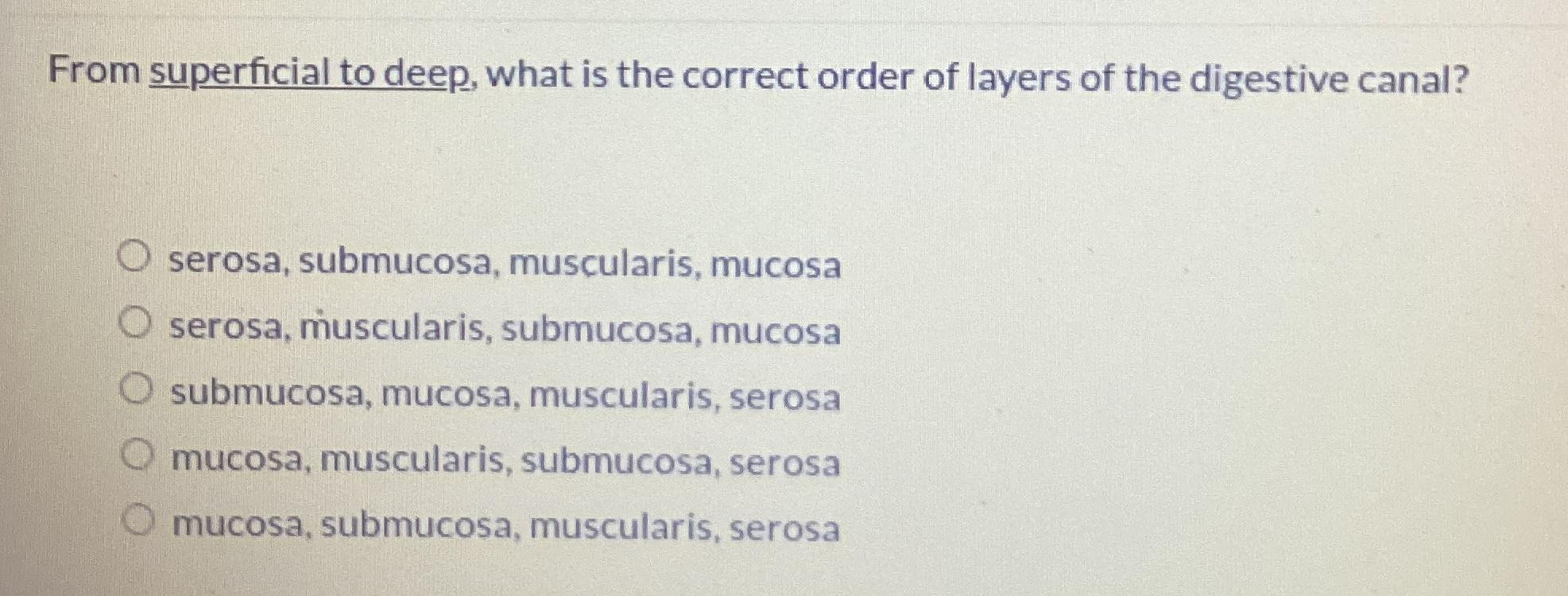 Solved From superficial to deep, what is the correct order | Chegg.com
