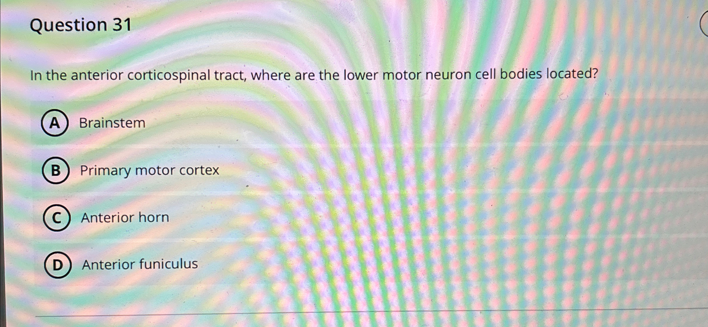Solved Question 31In the anterior corticospinal tract, where | Chegg.com