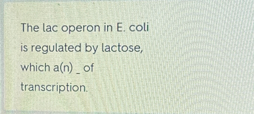 Solved The lac operon in E. ﻿coli is regulated by lactose, | Chegg.com
