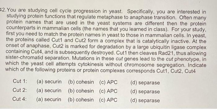 Solved 2. You are studying cell cycle progression in yeast. | Chegg.com