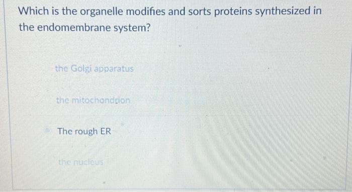 Solved Which is the organelle modifies and sorts proteins | Chegg.com