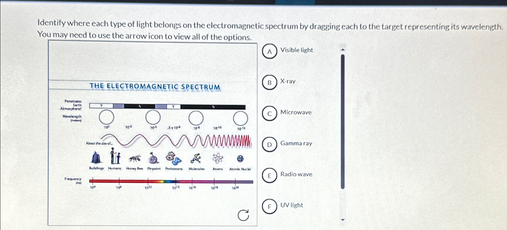 Solved Identify where each type of light belongs on the | Chegg.com