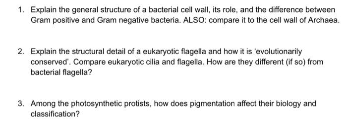 Solved 1. Explain the general structure of a bacterial cell | Chegg.com