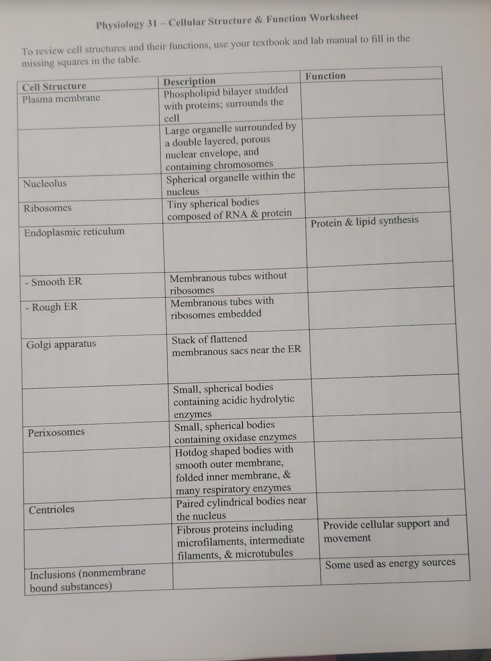 Cell Structure And Function Worksheet