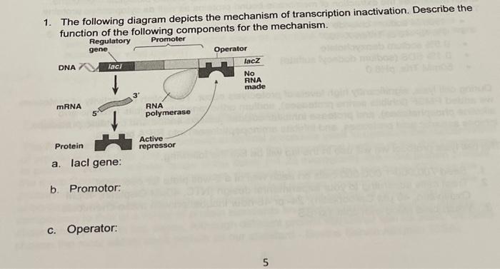 Solved 1. The following diagram depicts the mechanism of | Chegg.com