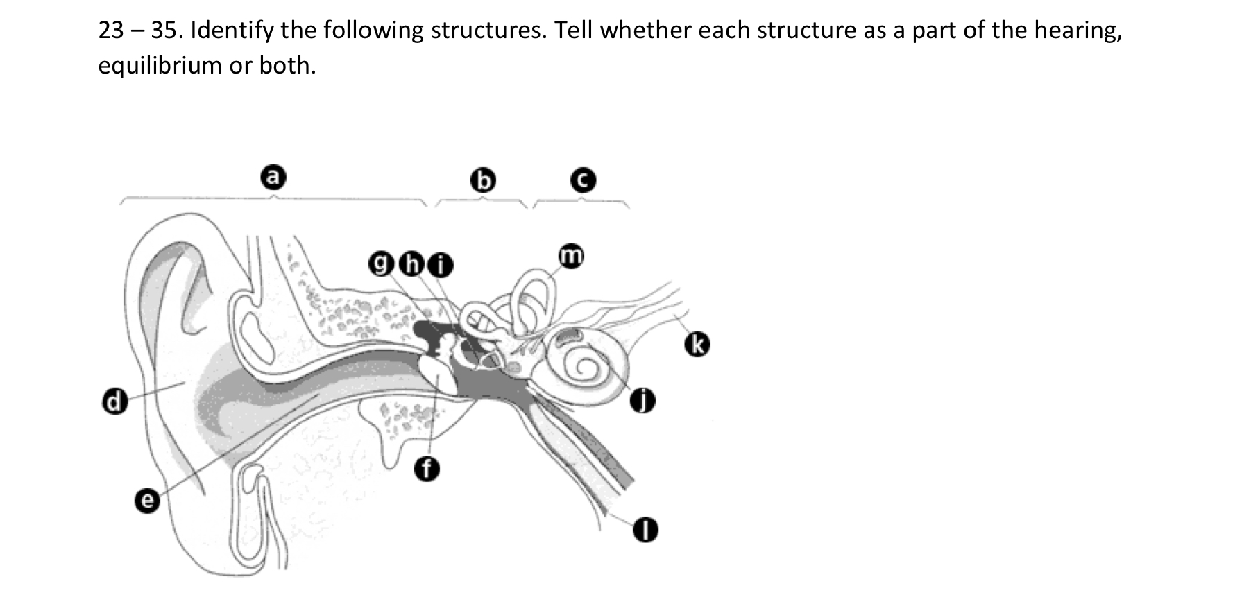 Solved 23-35. ﻿Identify the following structures. Tell | Chegg.com
