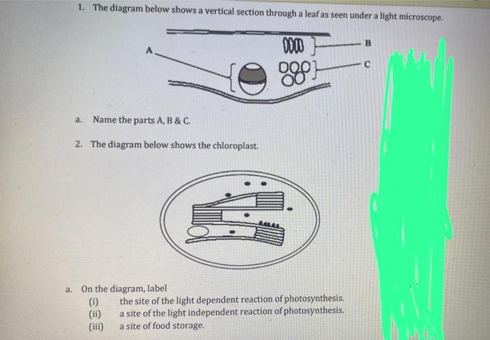 Solved 1. The diagram below shows a vertical section through | Chegg.com