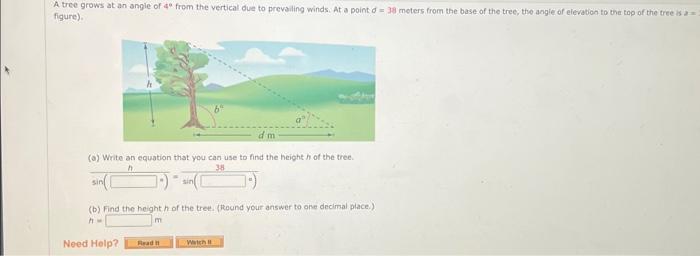 Solved A tree grows at an angle of 4∘ from the vertical due | Chegg.com