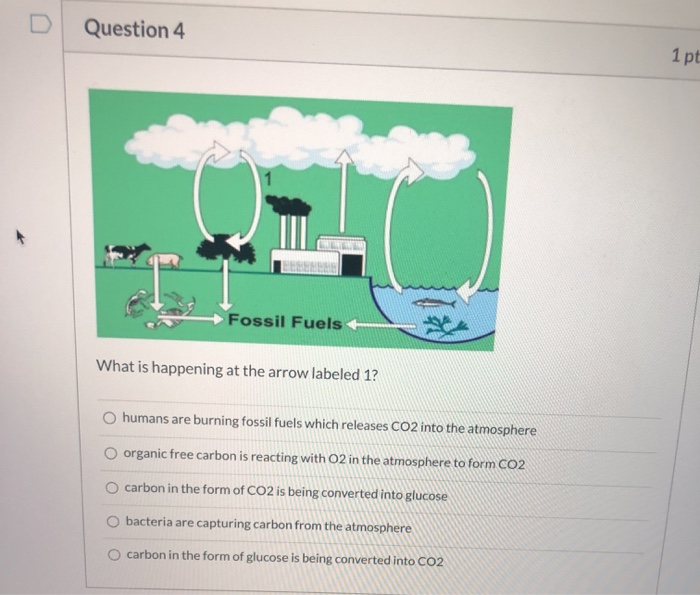 Solved Question 4 1 pt Fossil Fuels + What is happening at | Chegg.com