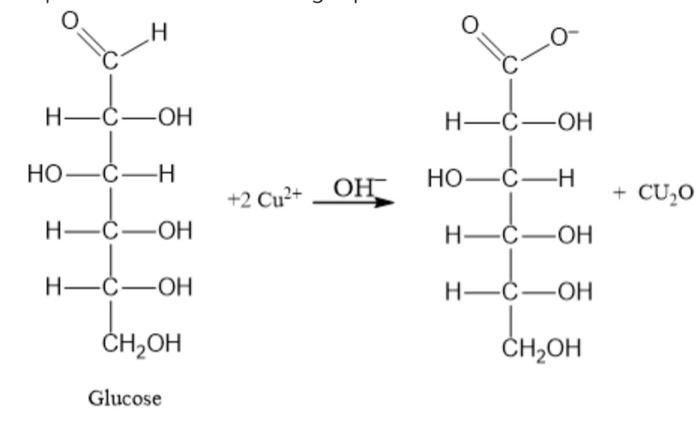 Solved What is the reaction of Fructose with benedicts | Chegg.com