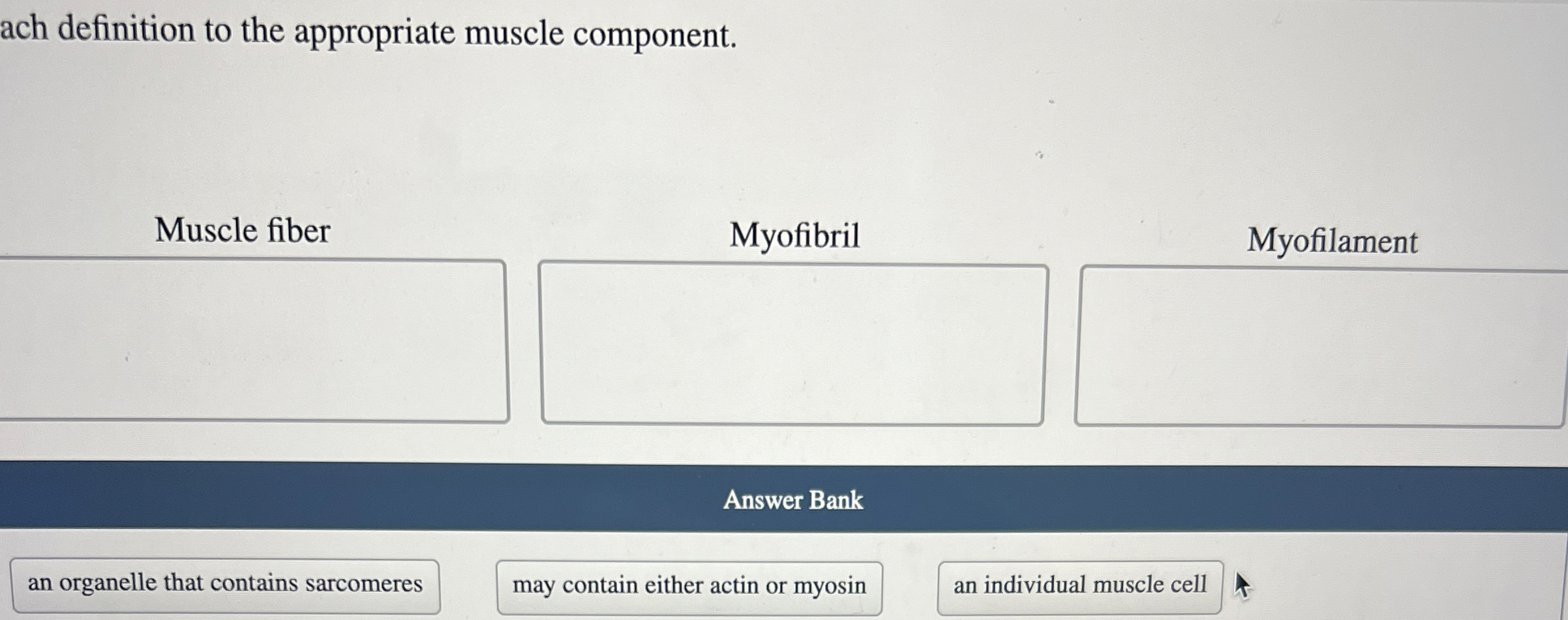 Solved ach definition to the appropriate muscle