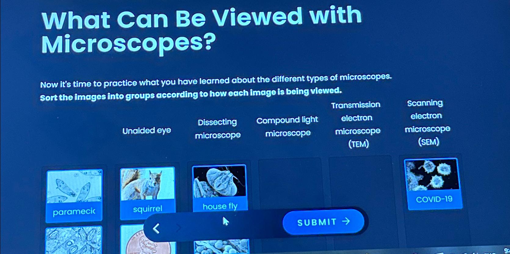 Solved What Can Be Viewed with Microscopes?Now it's time to