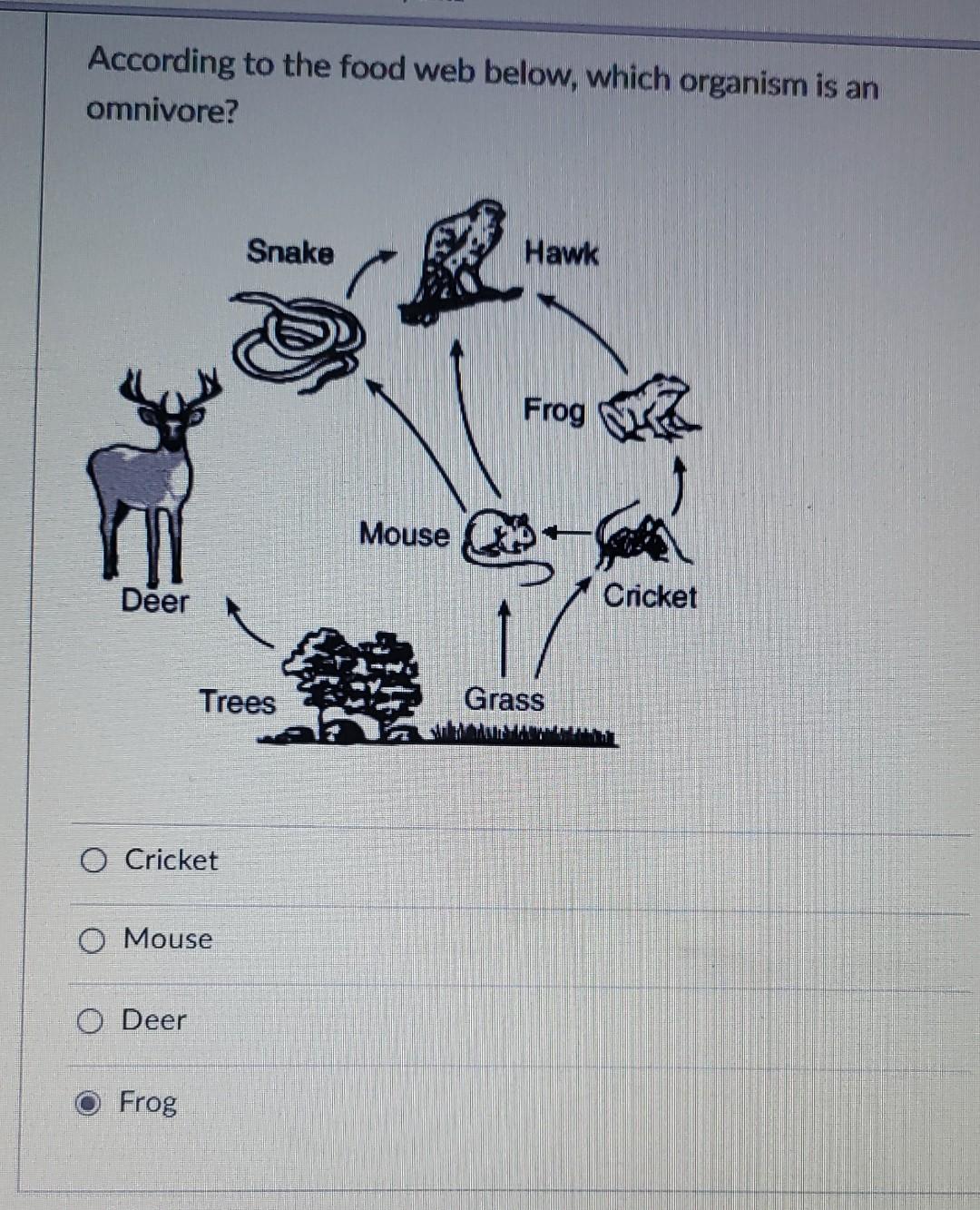 Solved According to the food web below, which organism is an | Chegg.com