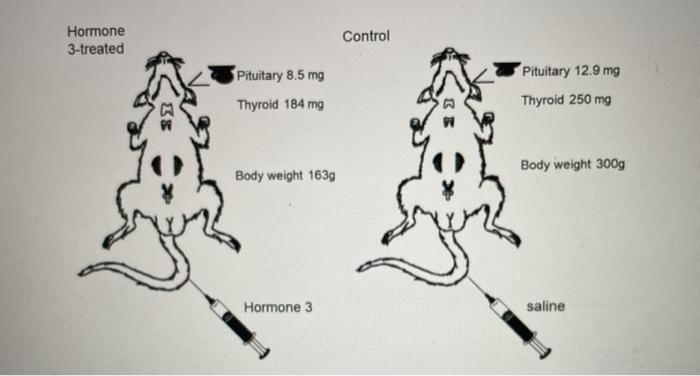 Solved . . Module 3: Virtual Rats exercise This activity has | Chegg.com