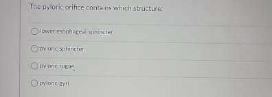 Solved The pyloric orifice contains which structure:Iower | Chegg.com