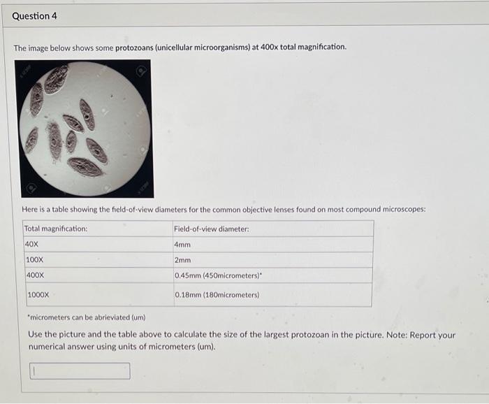 Solved Question 4 The image below shows some protozoans | Chegg.com