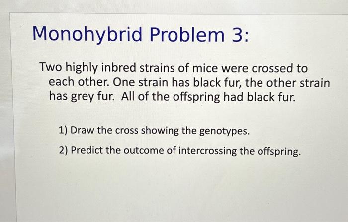Solved Monohybrid Problem 3: Two highly inbred strains of | Chegg.com