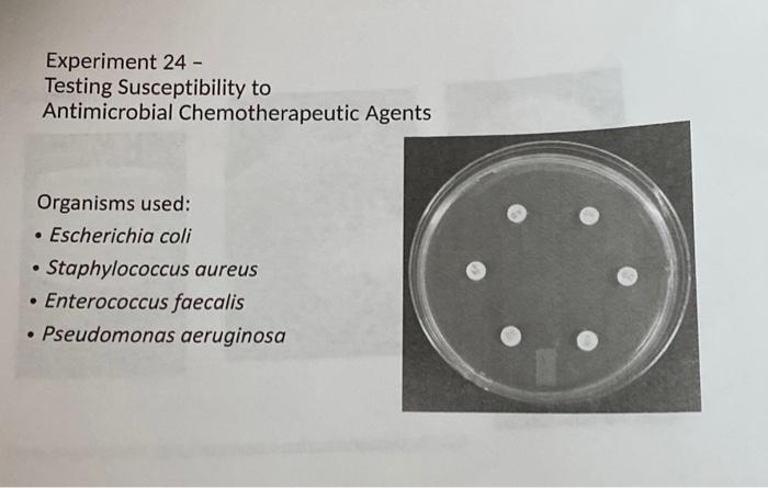 Solved TABLE 24.2 - Zone Diameter Interpretive Standard | Chegg.com