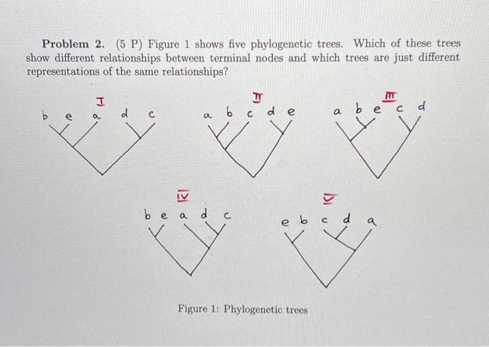 Solved Problem 2. (5 P) Figure 1 Shows Five Phylogenetic | Chegg.com