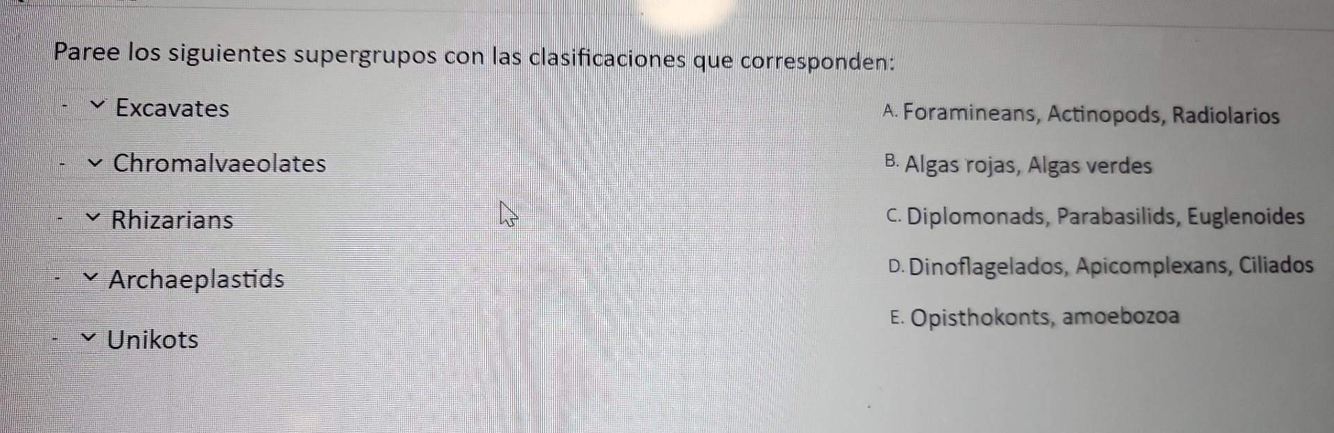 Paree los siguientes supergrupos con las clasificaciones que corresponden: Excavates A. Foramineans, Actinopods, Radiolarios