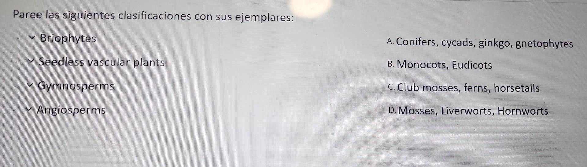 Paree las siguientes clasificaciones con sus ejemplares: Briophytes A. Conifers, cycads, ginkgo, gnetophytes Seedless vascula