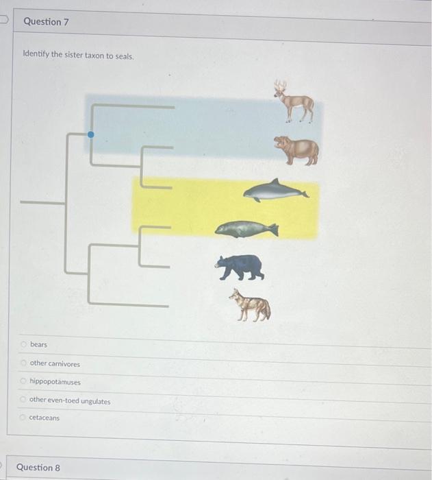 Solved According to this tree, which is most distantly | Chegg.com