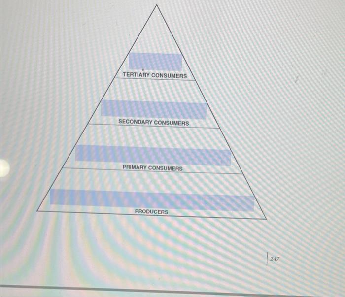 Solved Look at Question 3 on Page 247 of your lab manual. | Chegg.com