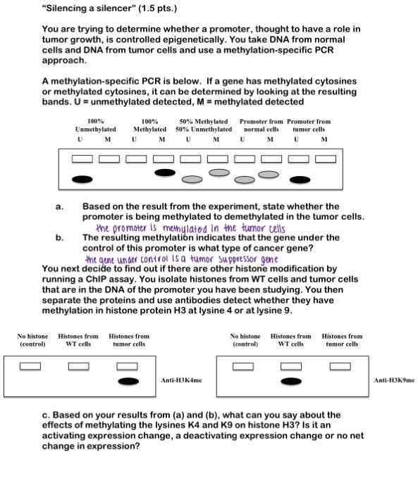 Solved If You Vould Just Check A And B And Then Help With | Chegg.com