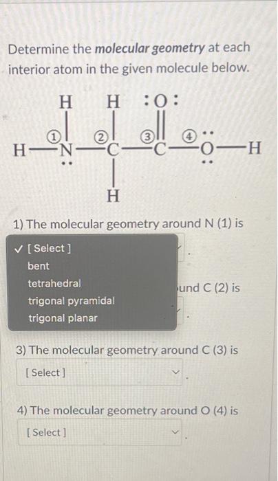 Solved Determine the molecular geometry at each interior | Chegg.com
