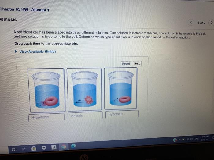 solved-chapter-05-hw-attempt-1-smosis