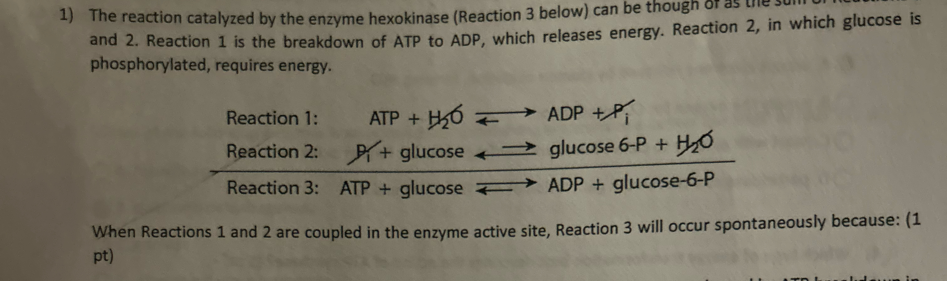 Solved The reaction catalyzed by the enzyme hexokinase | Chegg.com