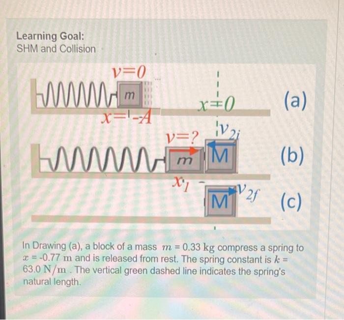 Solved Learning Goal: SHM and Collision In Drawing (a), a | Chegg.com