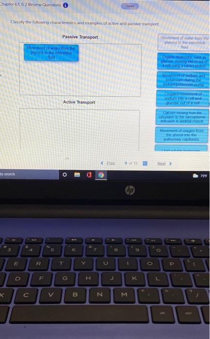 Solved Chapter 61 62 Review Questions Classify The Following Chegg