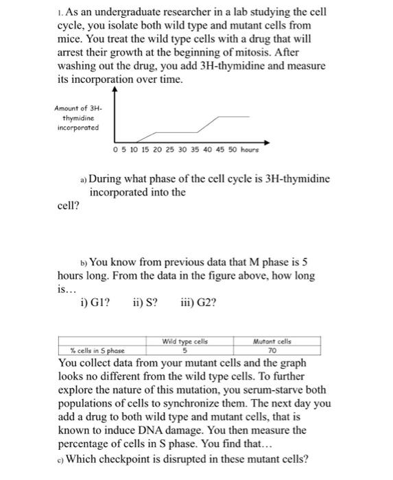 Solved 1. As an undergraduate researcher in a lab studying | Chegg.com