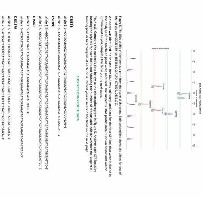 12. Compare the suspect's DNA profile (the | Chegg.com