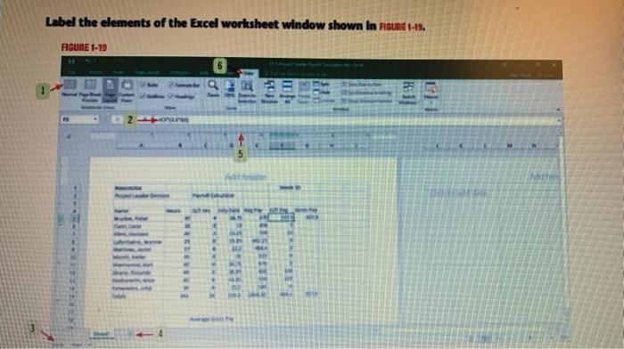 Solved Label the elements of the Excel worksheet window | Chegg.com