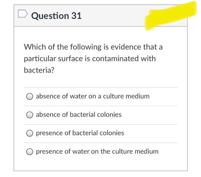 Solved Question 3 After examining a Gram stained slide of | Chegg.com