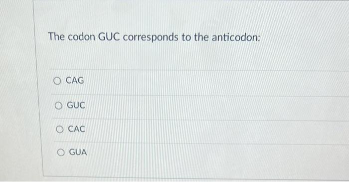 The codon GUC corresponds to the anticodon: CAG GUC CAC GUA