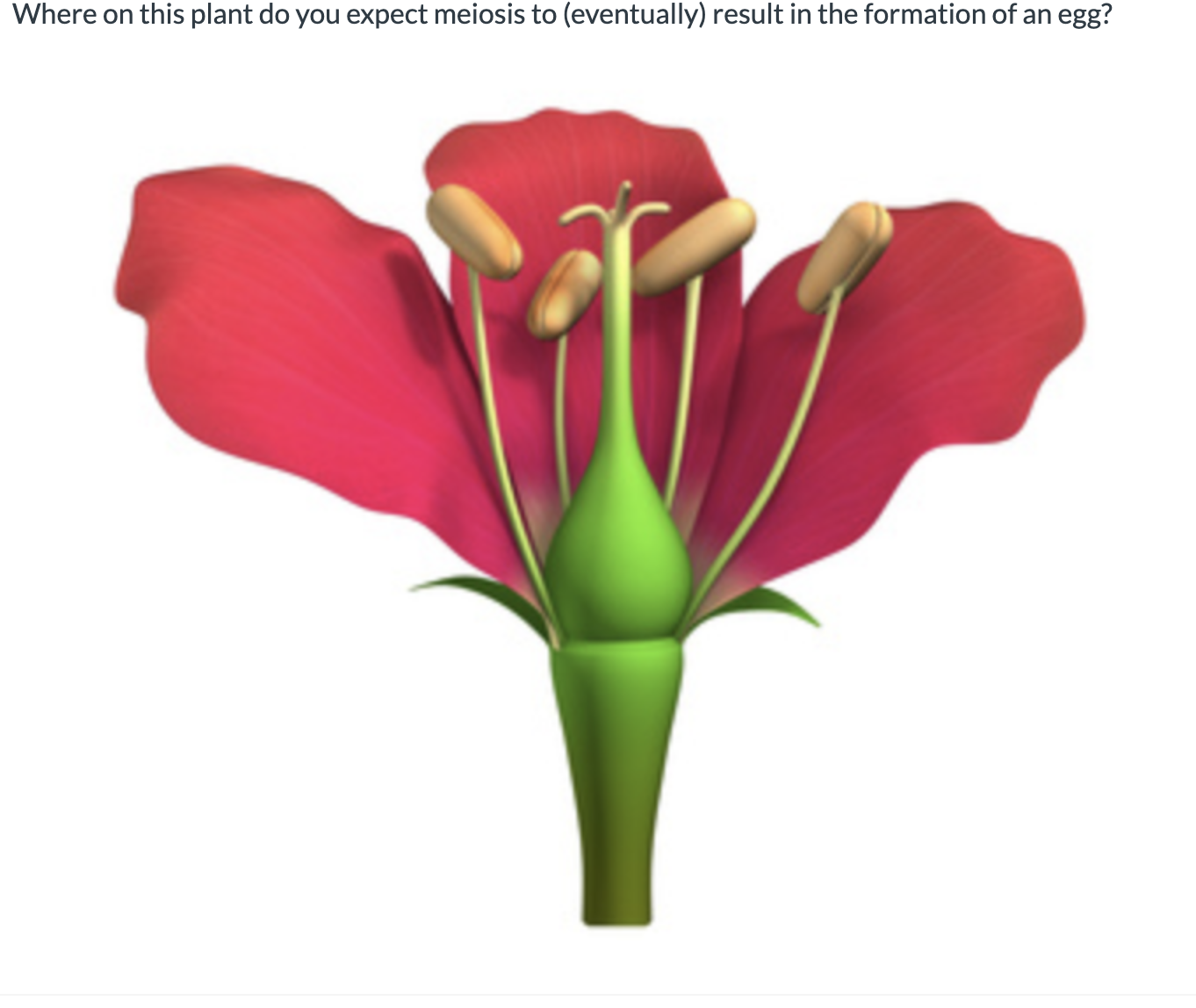 Solved Where on this plant do you expect meiosis to | Chegg.com