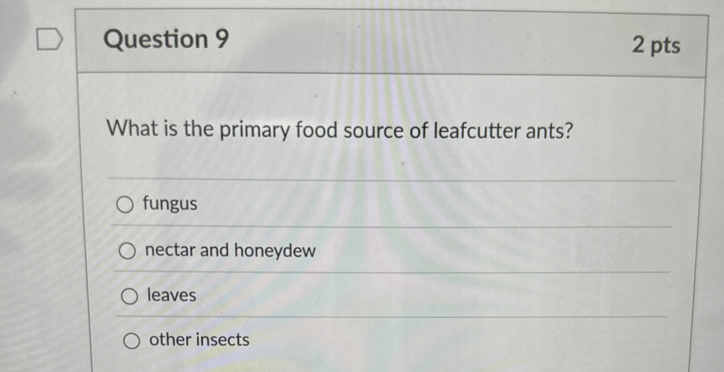 Solved Question 92 ﻿ptsWhat is the primary food source of