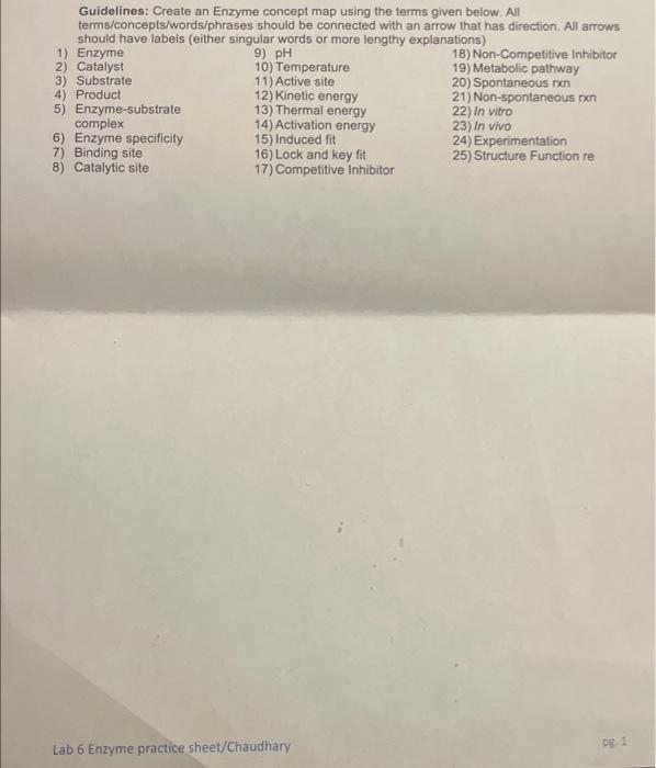 Solved Guidelines Create an Enzyme concept map using the