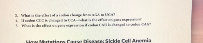 Solved 3. What is the effect of a codon change from AGA to | Chegg.com