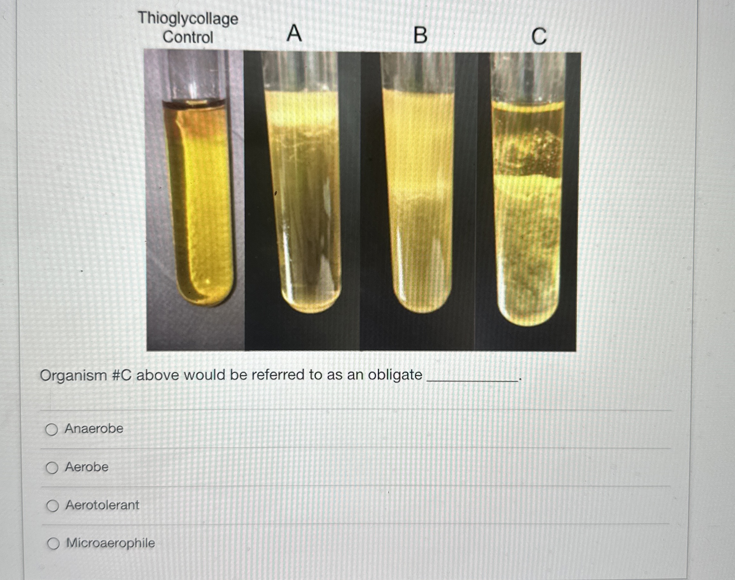 Solved Organism #C above would be referred to as an obligate | Chegg.com